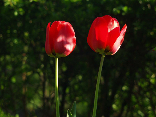 428056 (a): :1600x1200